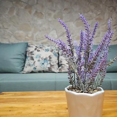 아파트 Dalmatia Rustica Comfortable One Bedroom+fireplace 자다르