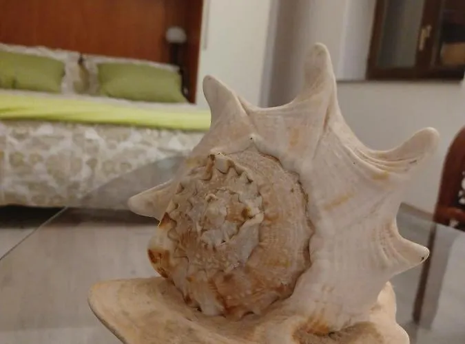 Apartamento Dalmatia Rustica Comfortable One Bedroom+fireplace