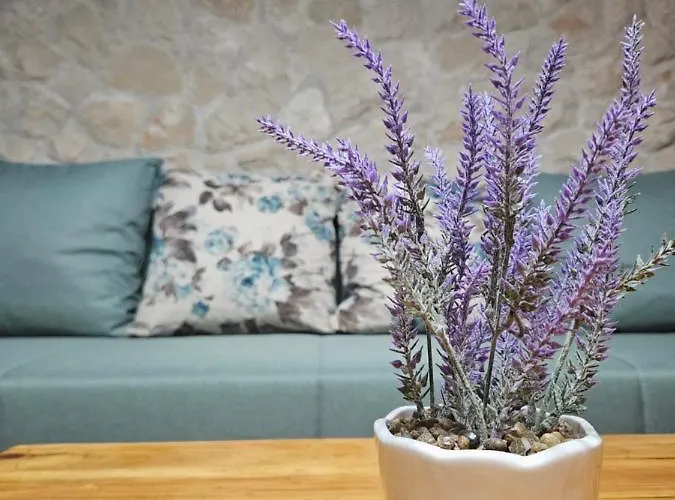 아파트 Dalmatia Rustica Comfortable One Bedroom+fireplace 자다르